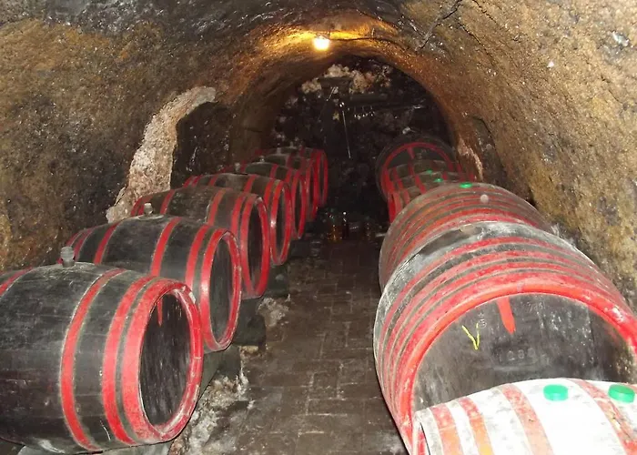 Maison d'hôtes Oereg Diofa Vendeghaz *