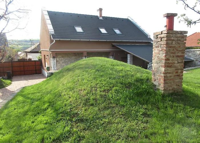 Oereg Diofa Vendeghaz Maison d'hôtes Abaújszántó